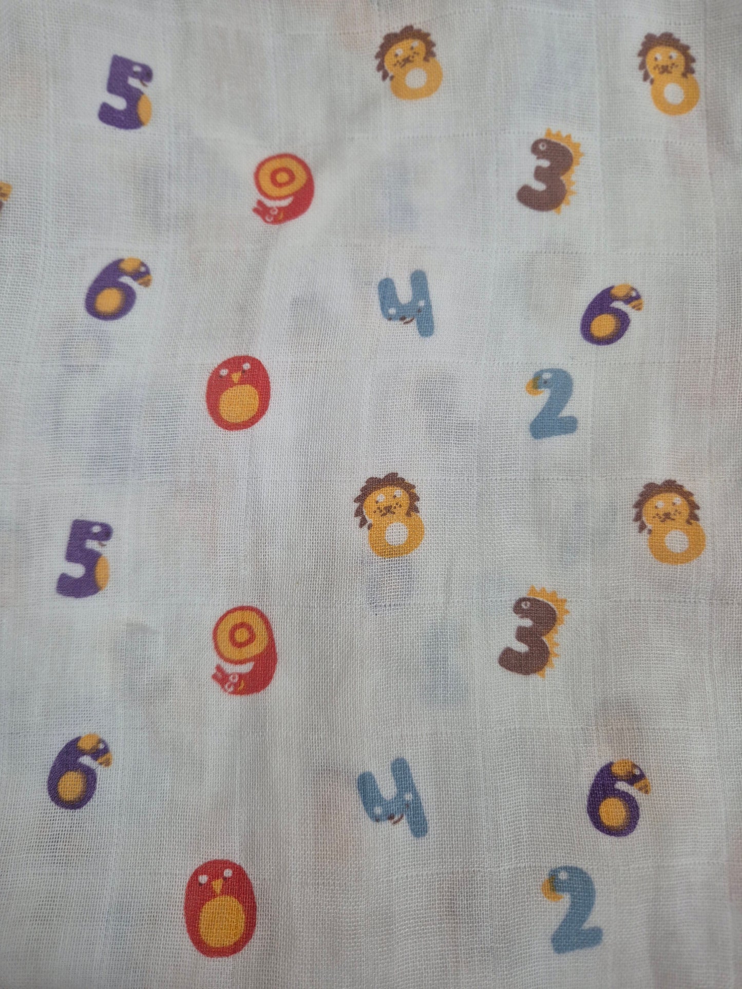Counting Adventure Full sleeve Jhabla